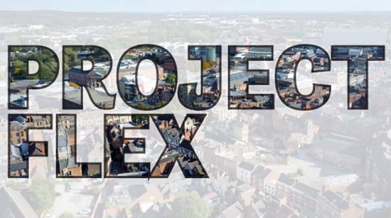 Project Flex