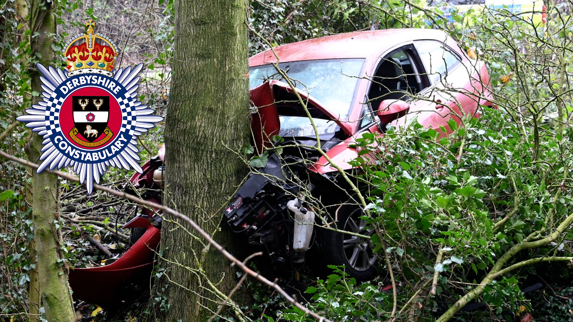 Car smashed into tree