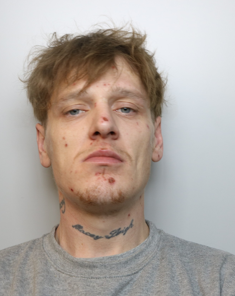 A thief has been jailed for more than two years after targeting numerous homes and vehicles over the course of a few days in Allestree.