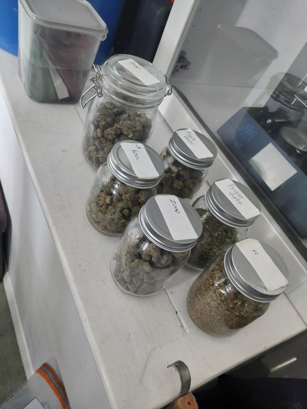A man and woman have been arrested after officers found a large amount of suspected drugs and weapons at a property in Mickleover.