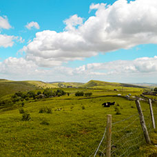 Image of Buxton Rural West