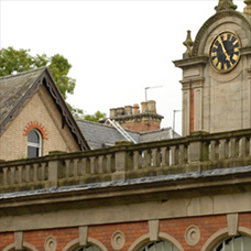 Image of Rose Hill